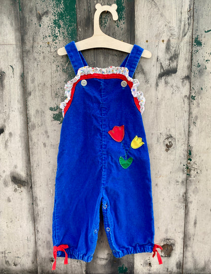 Colorful Corduroy Overalls