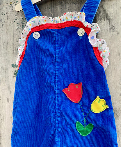 Colorful Corduroy Overalls